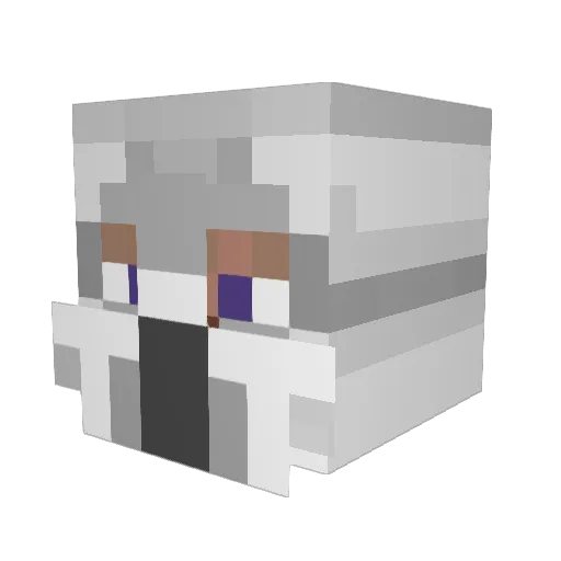 Doodoo_Head Minecraft avatar head, 3D render