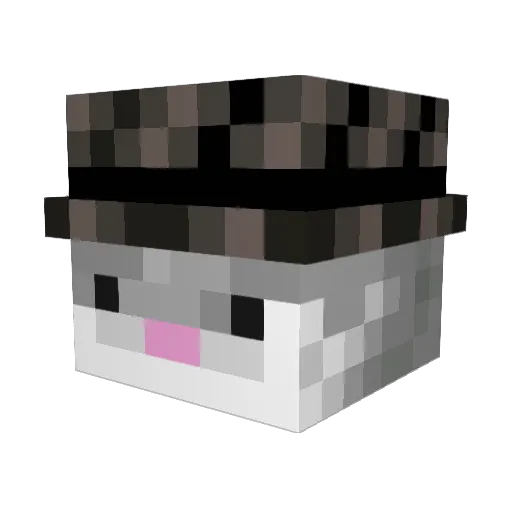 DoofPoof Minecraft avatar head, 3D render