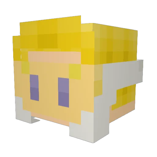 Doofer46 Minecraft avatar head, 3D render