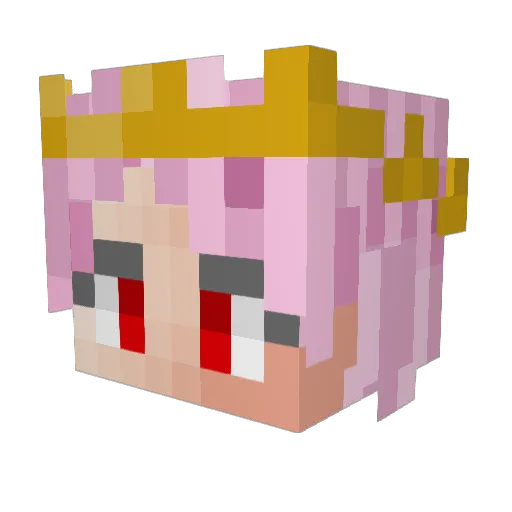 Doofinskater Minecraft avatar head, 3D render