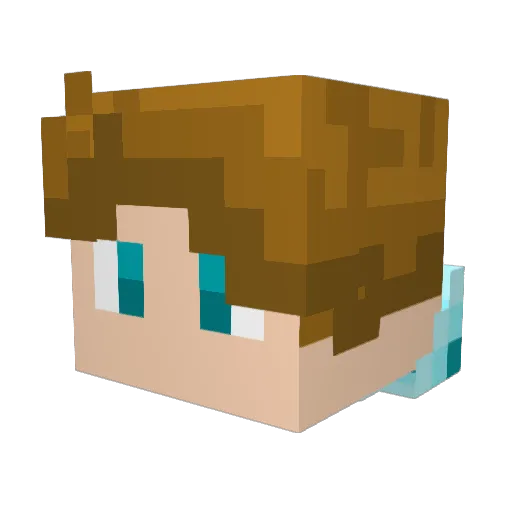 DoofusWoofus Minecraft avatar head, 3D render