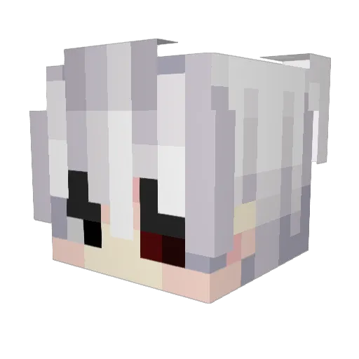 DoogliBoogli Minecraft avatar head, 3D render