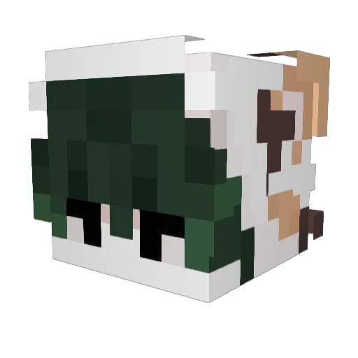 Doogun Minecraft avatar head, 3D render