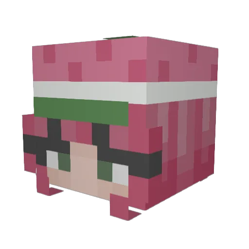 Dookiebook234 Minecraft avatar head, 3D render