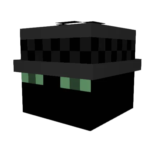 Dookieman11 Minecraft avatar head, 3D render