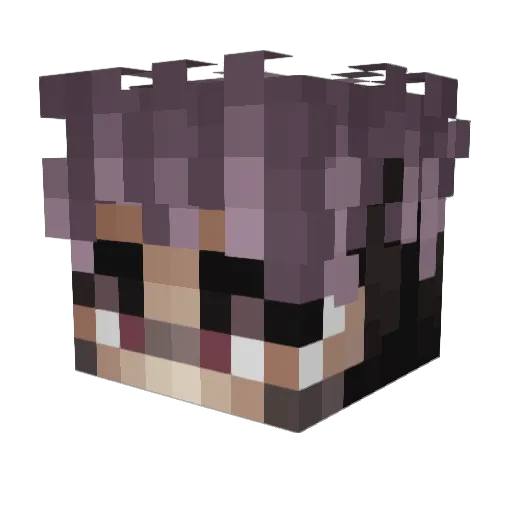 Doolidunnung Minecraft avatar head, 3D render