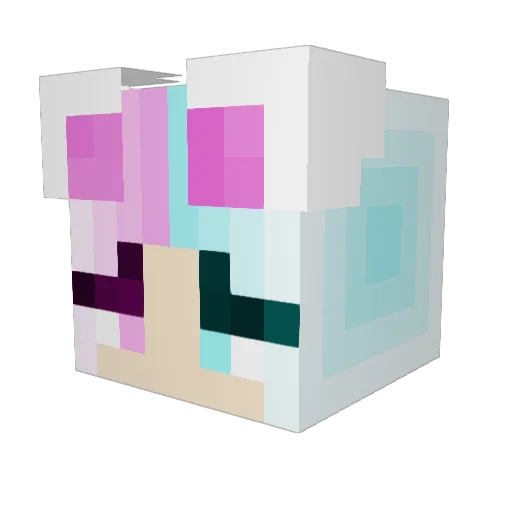 Dooliwia Minecraft avatar head, 3D render