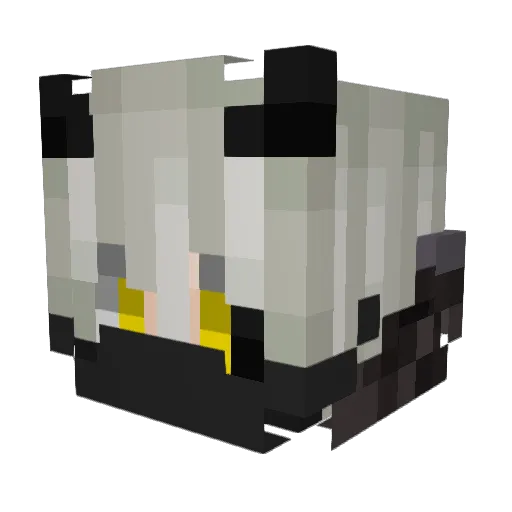 DoomBL Minecraft avatar head, 3D render