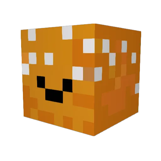 DoomBurgher Minecraft avatar head, 3D render