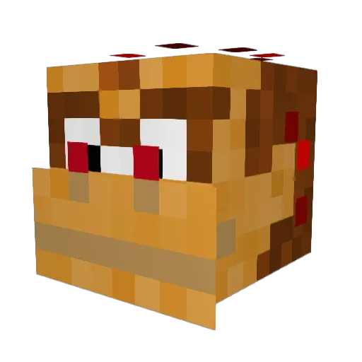 DoomX2010 Minecraft avatar head, 3D render