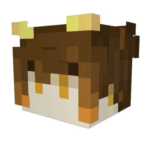 Doom_Aus Minecraft avatar head, 3D render