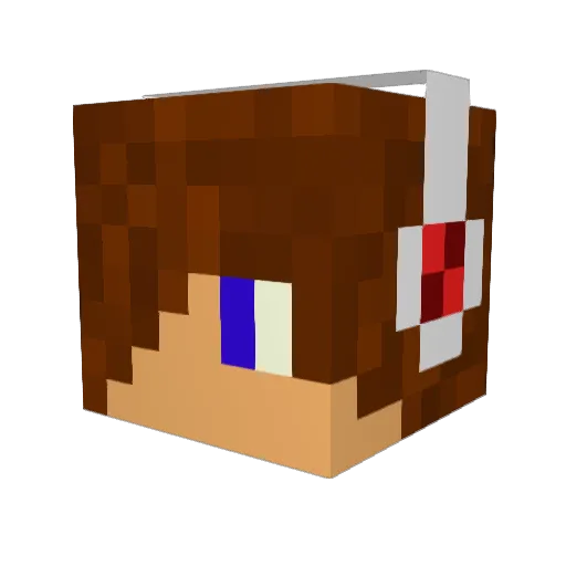 Doom_Seb Minecraft avatar head, 3D render