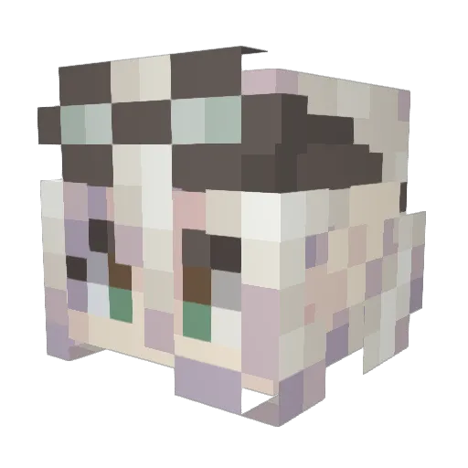 Doomatter Minecraft avatar head, 3D render