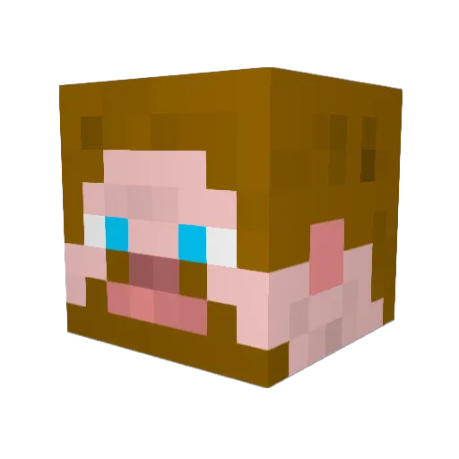Doomkiller85 Minecraft avatar head, 3D render