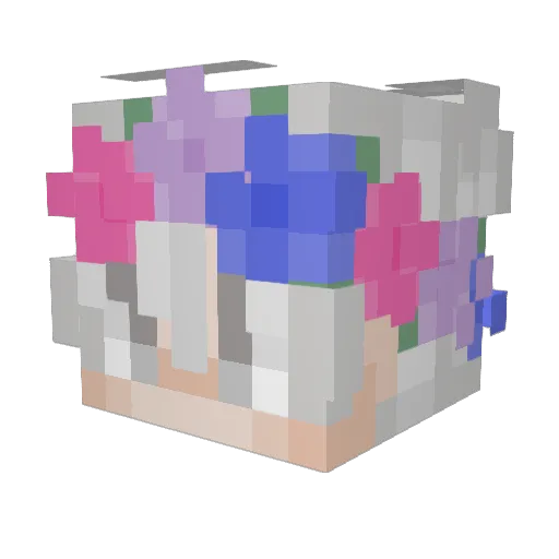 Doomsday900 Minecraft avatar head, 3D render