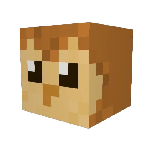 Dooper6 Minecraft avatar head, 3D render