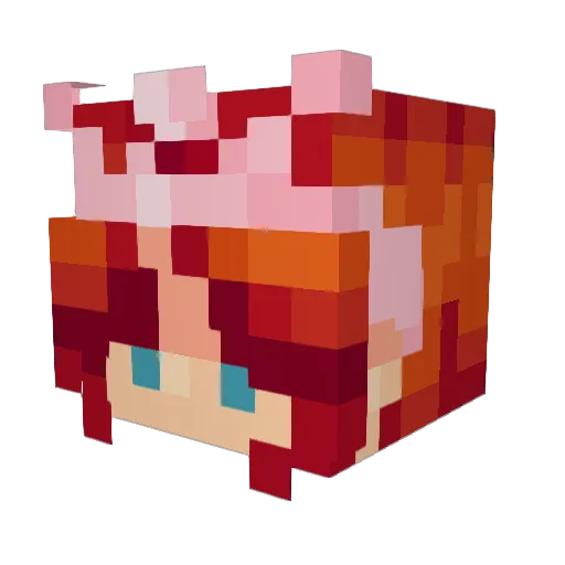 Doopers_ Minecraft avatar head, 3D render