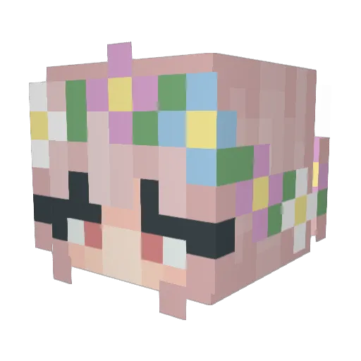 DoopieCookie Minecraft avatar head, 3D render