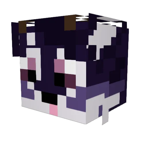 Doopyowo Minecraft avatar head, 3D render