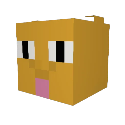 Door00 Minecraft avatar head, 3D render