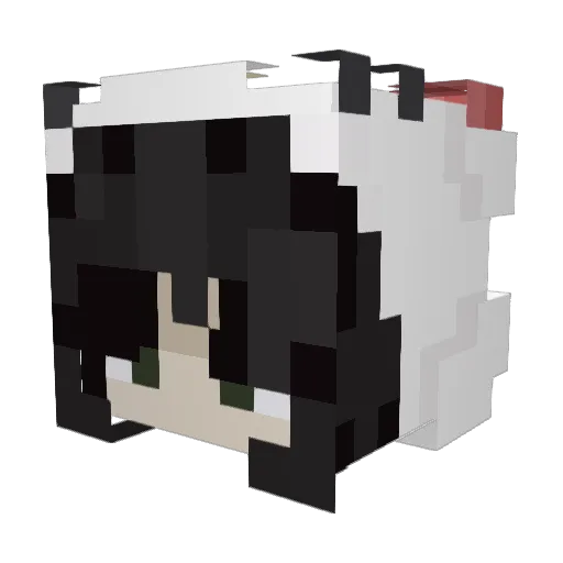 Door45te_x_ Minecraft avatar head, 3D render