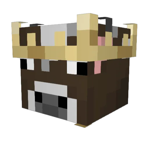 Door52 Minecraft avatar head, 3D render