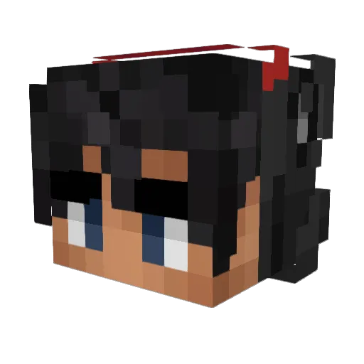 DoorDoordor Minecraft avatar head, 3D render