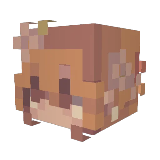 DoorKno Minecraft avatar head, 3D render