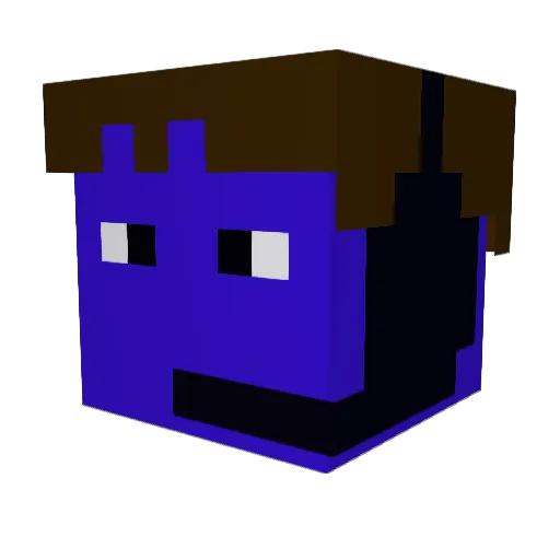 DoorNob501 Minecraft avatar head, 3D render