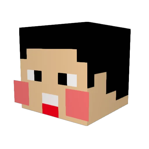 Doorange Minecraft avatar head, 3D render