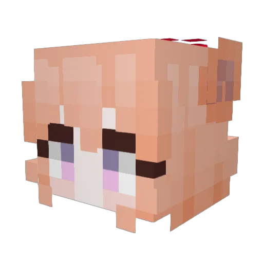 Doorgun Minecraft avatar head, 3D render