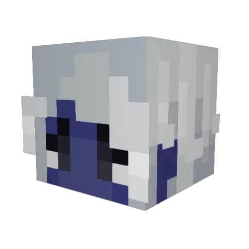 Doorknob29 Minecraft avatar head, 3D render