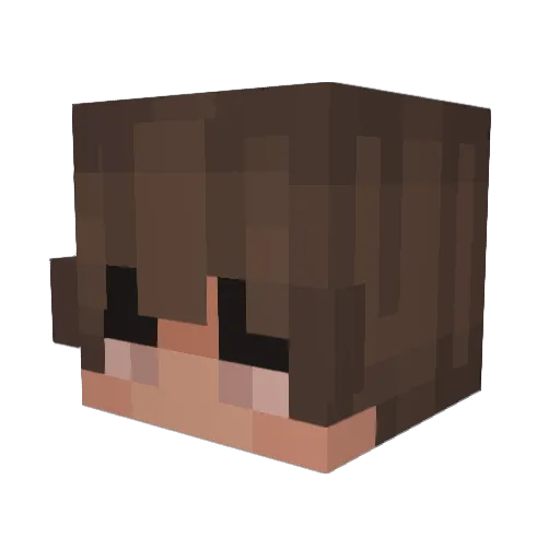 Doornails Minecraft avatar head, 3D render