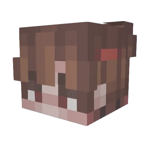 Dooruss Minecraft avatar head, 3D render