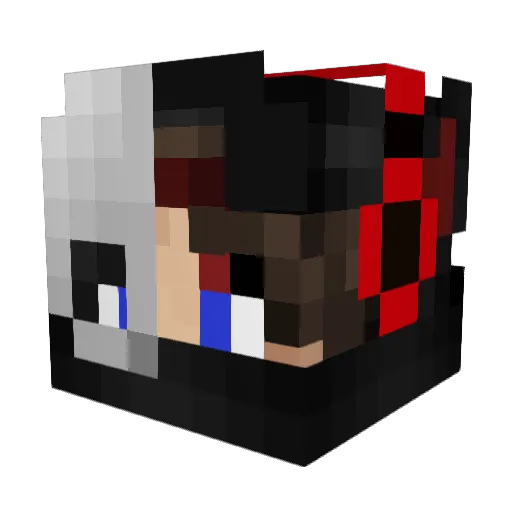 DoosInEenDoos Minecraft avatar head, 3D render