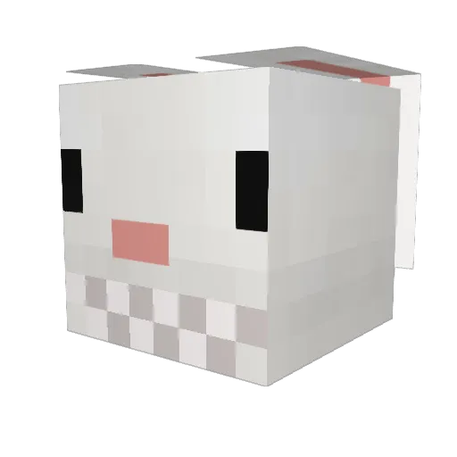 Doosti Minecraft avatar head, 3D render