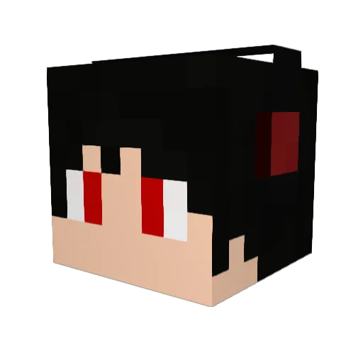 Dooter_BR Minecraft avatar head, 3D render