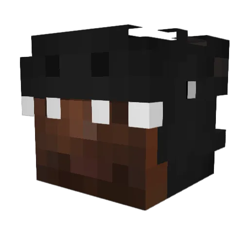 Doov1d Minecraft avatar head, 3D render