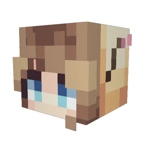 Doozypeb Minecraft avatar head, 3D render