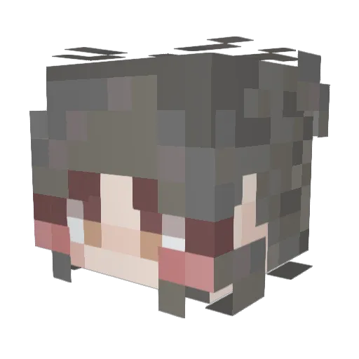 Dopal18 Minecraft avatar head, 3D render