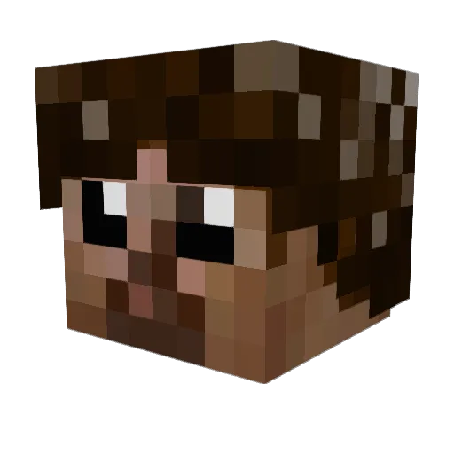 DopamineFR Minecraft avatar head, 3D render