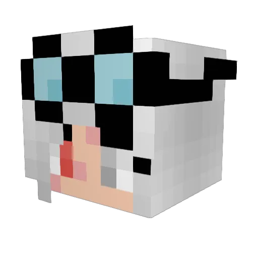 DopeHat_ Minecraft avatar head, 3D render