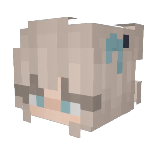 DopeLitMaster69 Minecraft avatar head, 3D render