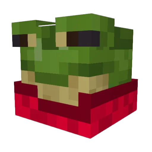 DopeSeagullzzz Minecraft avatar head, 3D render