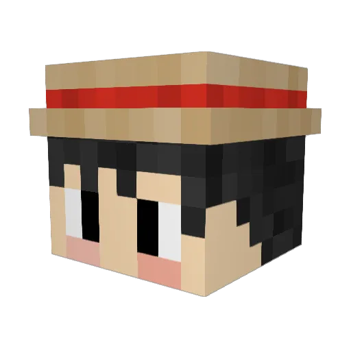 Dopetalk Minecraft avatar head, 3D render