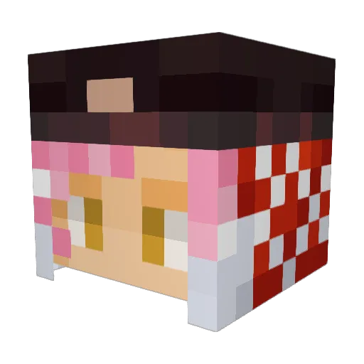 Dopista Minecraft avatar head, 3D render