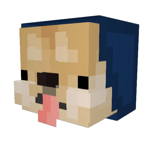 DoppaDoge Minecraft avatar head, 3D render