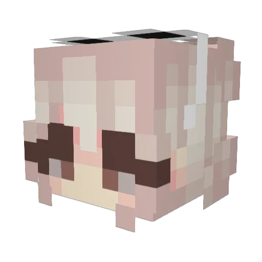 Doppelmayr Minecraft avatar head, 3D render