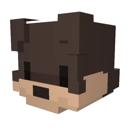 DopperTD Minecraft avatar head, 3D render