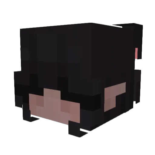DorDo_ Minecraft avatar head, 3D render